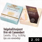 Allahindlus - Valgehallitusjuust Brie või Camembert