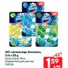 WC-värskendaja Domestos,
2 tk x 55 g

