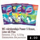 WC-värskendaja Power 5 Ocean, Lime või Pine