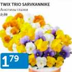 Allahindlus - TWIX TRIO SARVKANNIKE