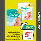 Beebisalvrätikud
Pampers
