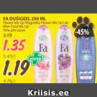 Allahindlus - FA DUŠIGEEL 250 ML