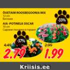 ÕUETAIM ROOSBEGOONIA MIX
12 cm; AIA -POTINELK OSCAR
10 cm