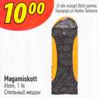 Magamiskott