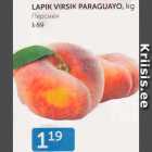 LAPIK VIRSIK PARAGUAYO, KG