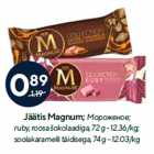 Jäätis Magnum