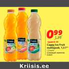 Allahindlus - Cappy Ice Fruit
mahlajook, 1,5 l**