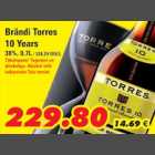 Alkohol - Brändi Torres 10 years