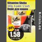 Kiisueine Sheba