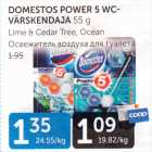 DOMESTOS POWER 5 WC- VÄRSKENDAJA 55  g