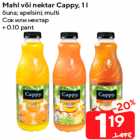 Mahl või nektar Cappy, 1 l

