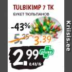 Allahindlus - TULBIKIMP 7 TK