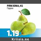 PIRN XENIA, KG