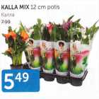 KALLA MIX 12  cm potis