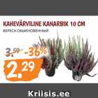 Allahindlus - KAHEVÄRVILINE KANARBIK 10 CM 