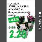 Allahindlus - HARILIK JÕULUKAKTUS MIX d9 CM