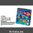 Allahindlus - Mänguasi
meisterdamine Mould &
Paint Glow Owls 4m**
1 tk