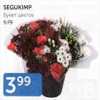 SEGUKIMP