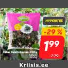 Kähar Kalette kapsas, 200 g
