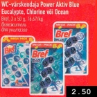 WC-värskendaja Power Aktiv Blue Eucalypte, Chlorine või Ocean