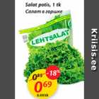 Allahindlus - Salat potis, 1 tk