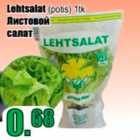 Lehtsalat