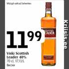 Viski Scottish
Leader