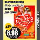 Koeratoit Darling

