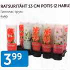 RATSURITÄHT 13 CM POTIS