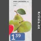 PIRN LIMONERA, KG