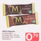 Jäätis Magnum