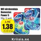 WC värskendaja Domestos Power 5