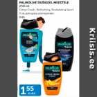 PALMOLIVE DUŠIGEEL MEESTELE 250 ml