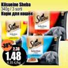 Kiisueine Sheba