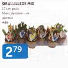 SIBULLILLED MIX