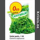 Allahindlus - Salat potis, 1 tk