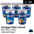 Koorejogurt Muah, erinevad