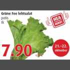 Grüne Fee lehtsalat potis