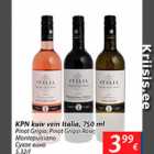 Allahindlus - KPN kuiv vein Itaalia, 750 ml