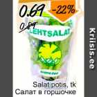 Allahindlus - Salat potis, tk