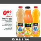 Allahindlus - Cappy Ice Fruit
mahlajook, 1,5 l