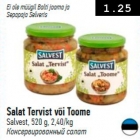 Salat Tervist või Toome