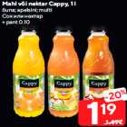 Allahindlus - Mahl või nektar Cappy, 1 l

