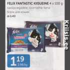 FELIX FANTASTIC KIISUEINE 4 X 100 G