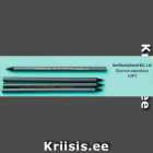 Allahindlus - Harilikud pliiatsid BIC, 4 tk