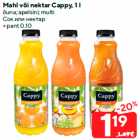 Mahl või nektar Cappy, 1 l

