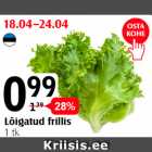 Lõigatud frillis 1 tk