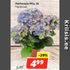 Allahindlus - Hortensia Mix, tk