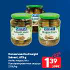 Konserveeritud kurgid
Salvest, 675 g
