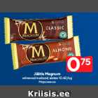 Jäätis Magnum

